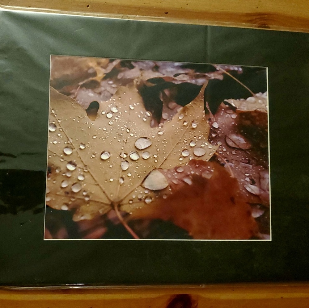 Drop on fall leaves